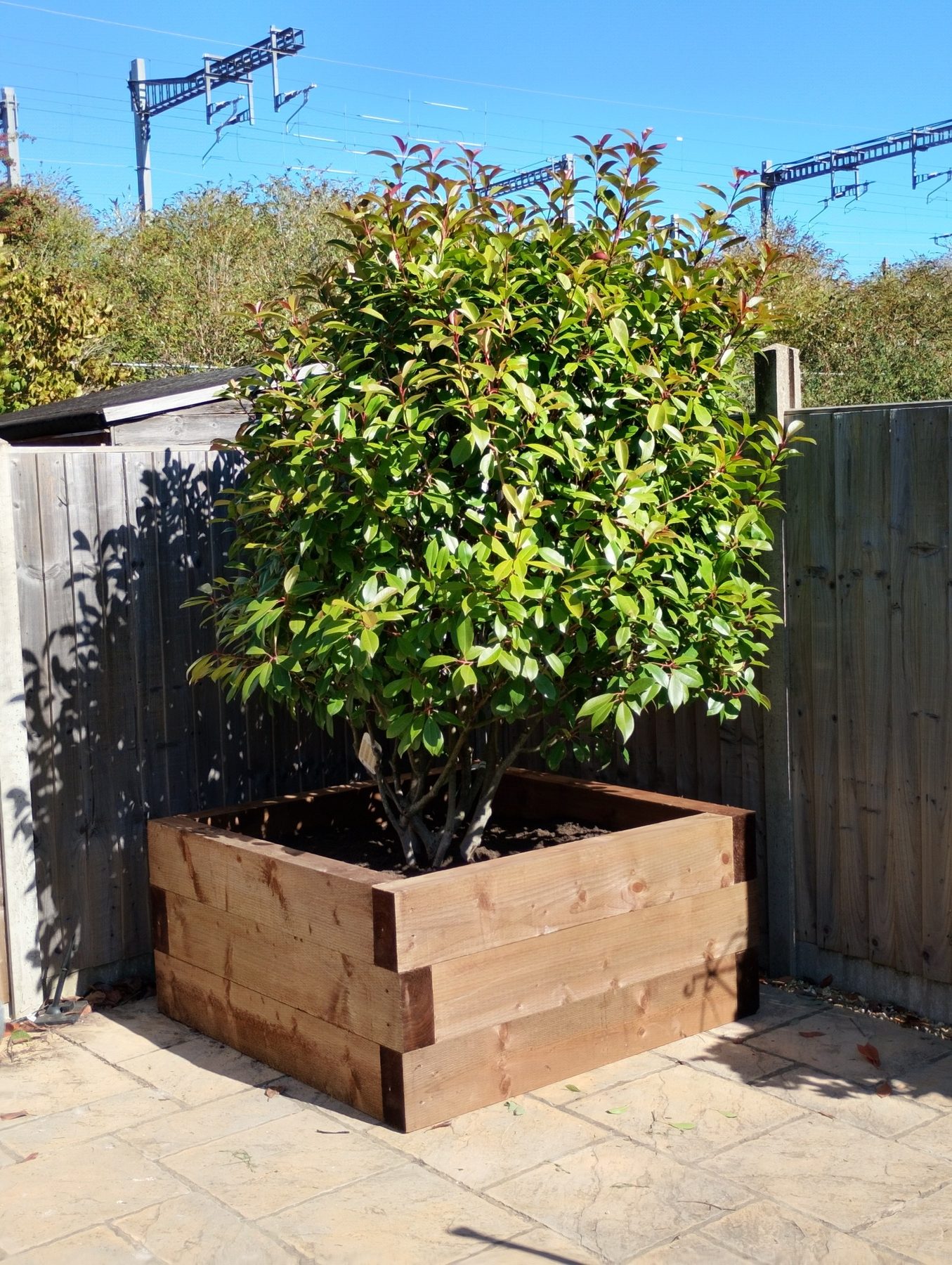 Raised timber planter